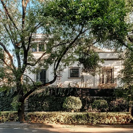 Hotel Pug Seal Polanco Anatole France