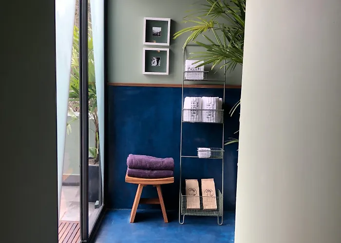 Pug Seal Polanco Anatole France Hotel 5*