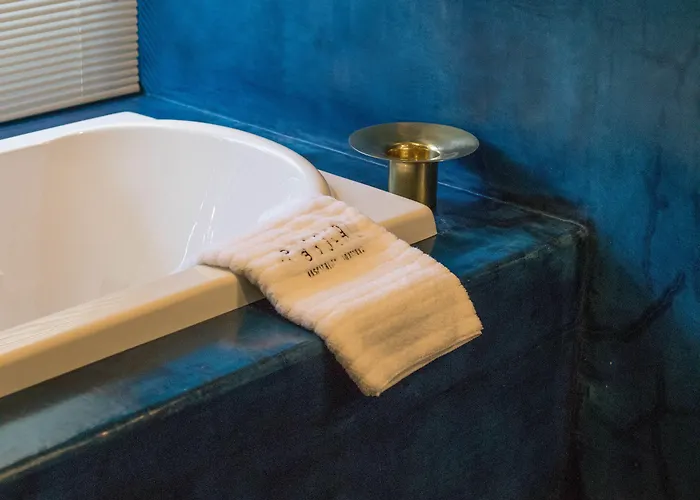 Hotel Pug Seal Polanco Anatole France 5*