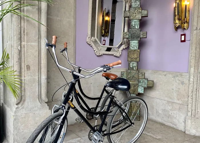 Hotel Pug Seal Polanco Anatole France 5*