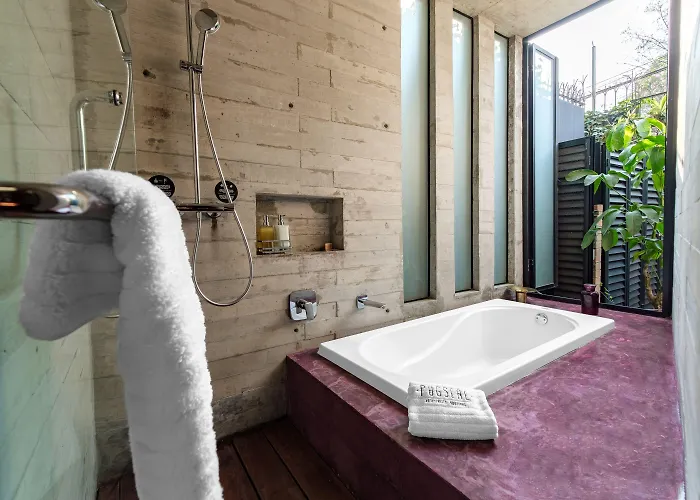 Hotel Pug Seal Polanco Anatole France 5*